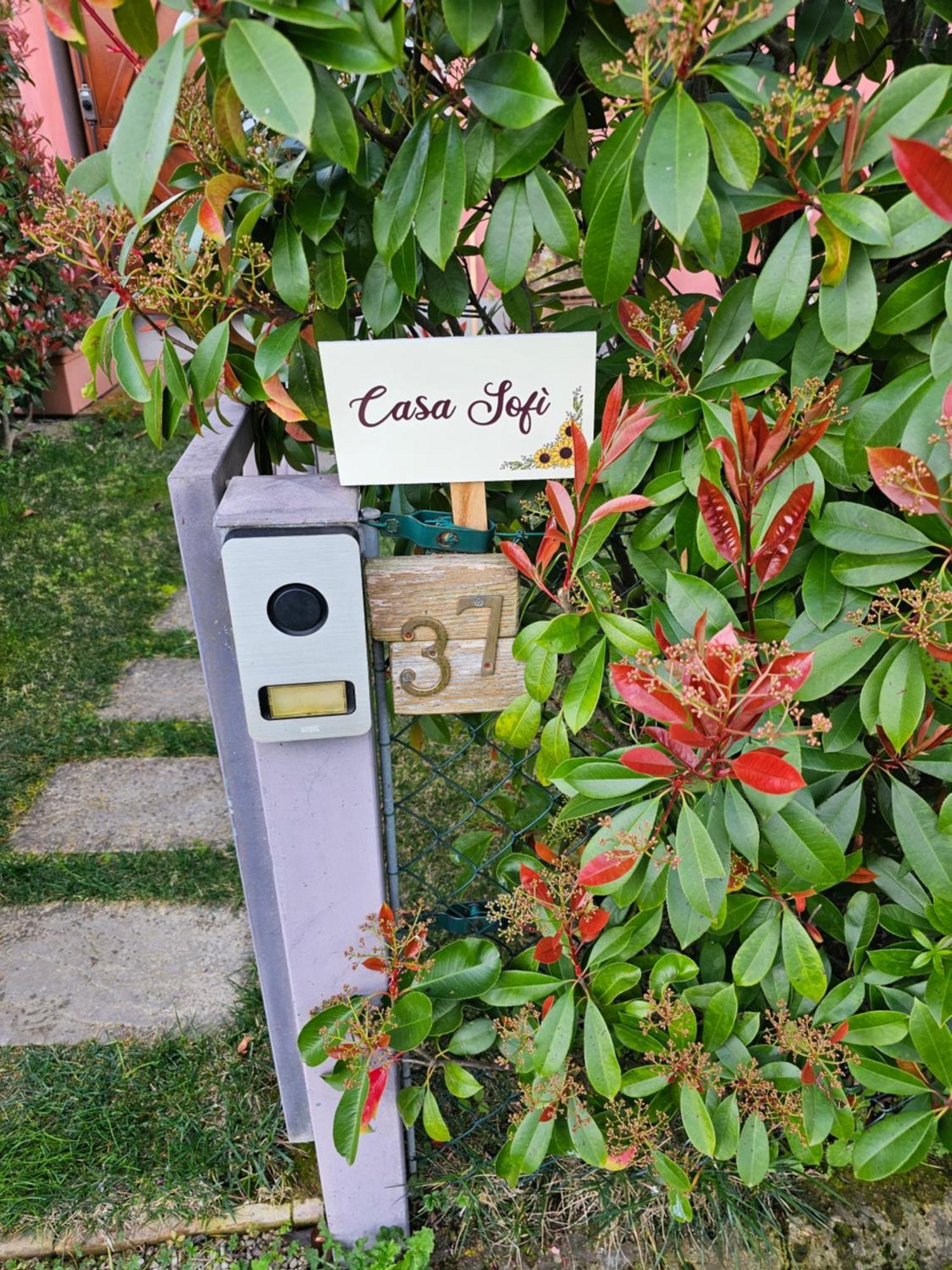 Villa Casa Sofi Coiano Esterno foto